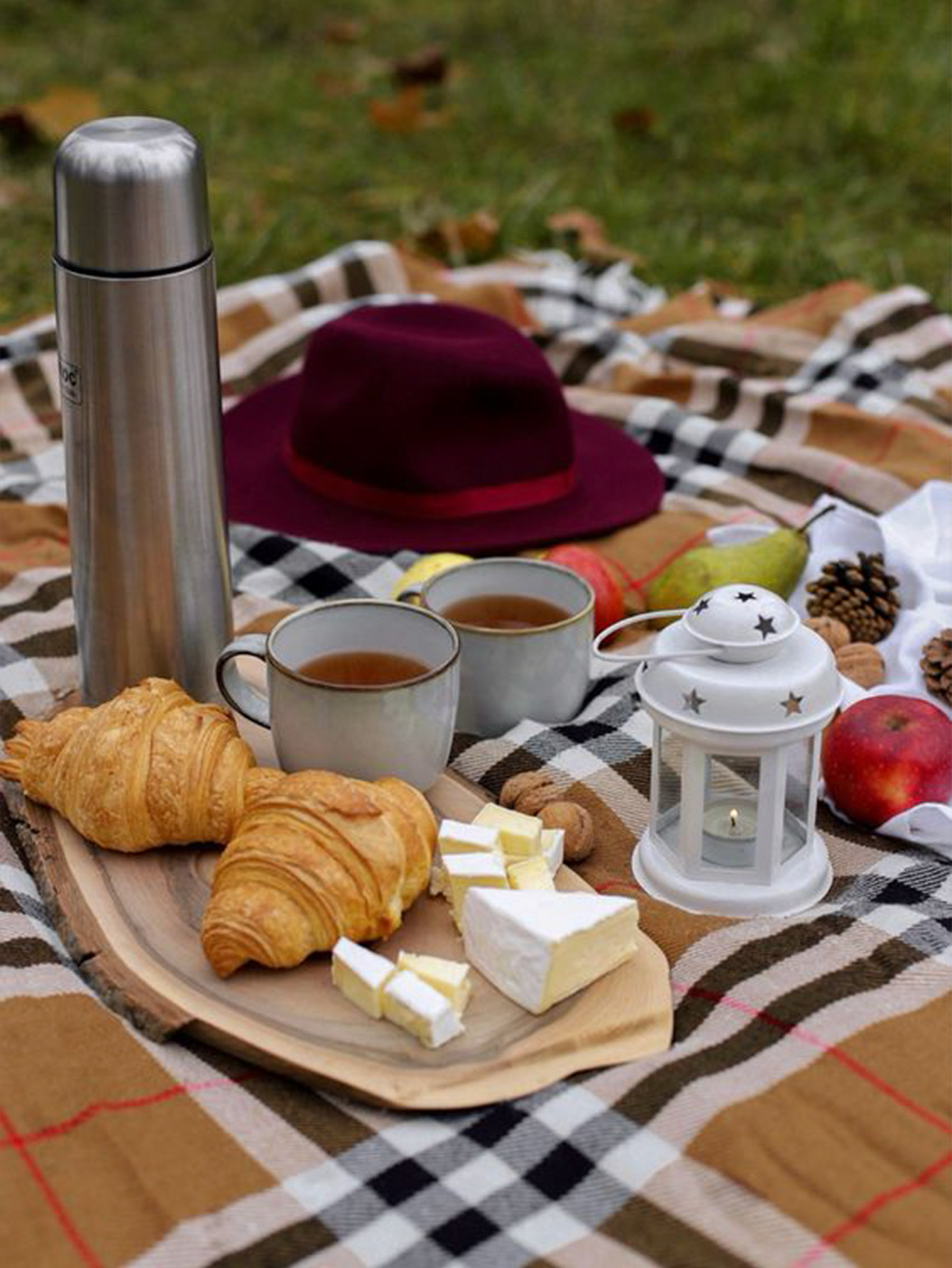 A beautifully arranged picnic setup featuring a cozy blanket, delicious food, and stylish accessories, perfect for enjoying in your favorite outdoor spots.