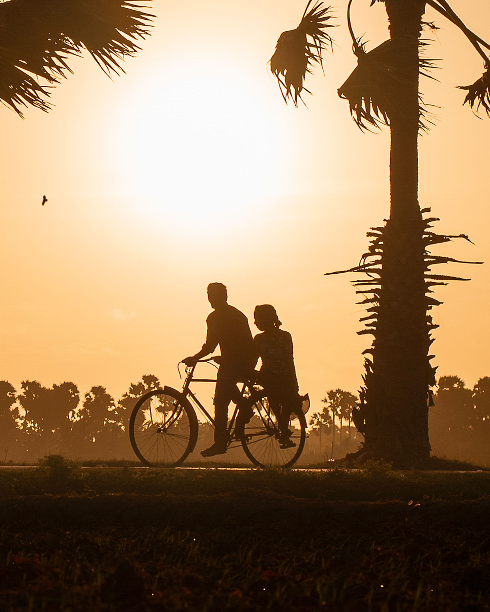 Local Jaffna residents riding bicycles along a road, surrounded by vibrant greenery and traditional Sri Lankan architecture, showcasing the community's everyday life.