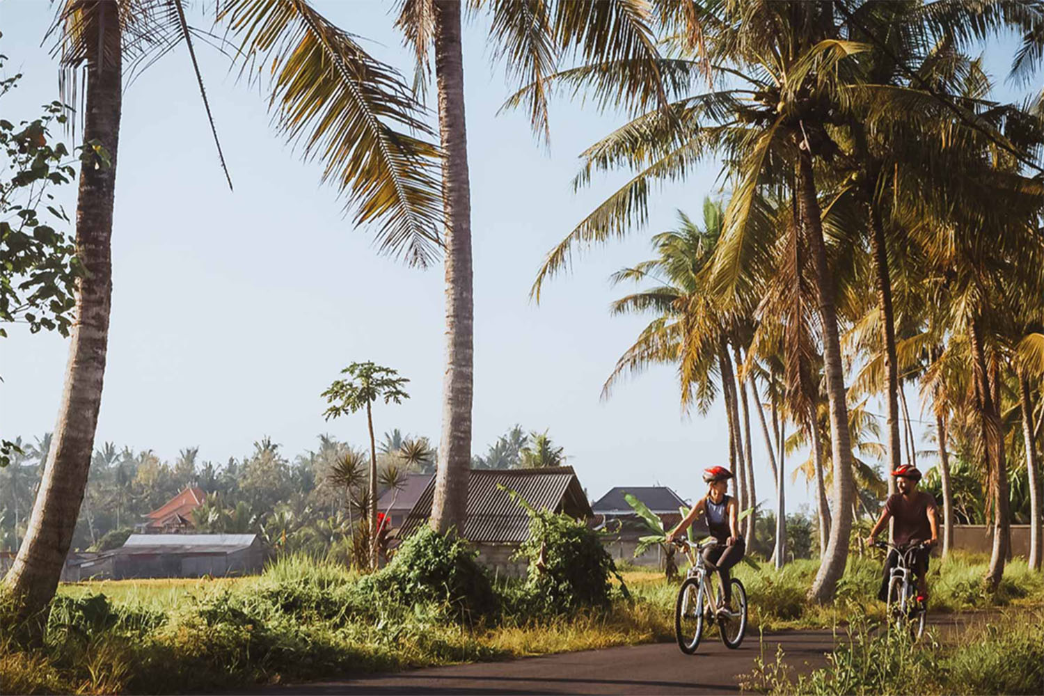 A peaceful cycle ride along a village road, surrounded by lush greenery and traditional houses, showcasing the serene rural life.