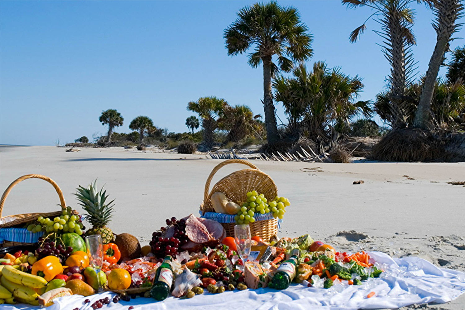 A serene picnic setup on the beachside at jaffna, including a comfortable mat, a gourmet picnic basket, and the tranquil sound of waves. Perfect for a lazy day with loved ones by the sea.